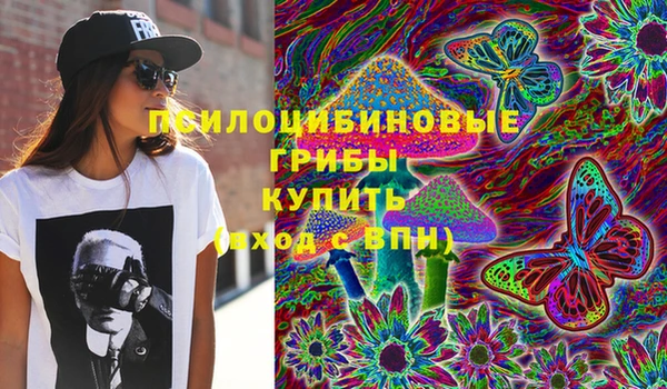 spice Верхний Тагил