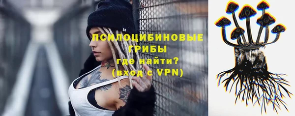 spice Верхний Тагил