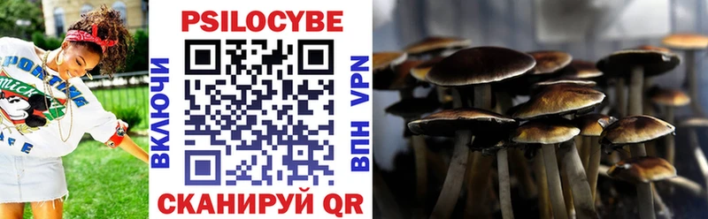 Галлюциногенные грибы Cubensis  Волосово 
